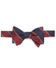 Burgundy-Navy