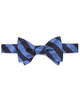 Blue-Navy