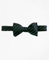 Green-Navy