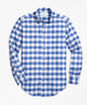 Blue-White