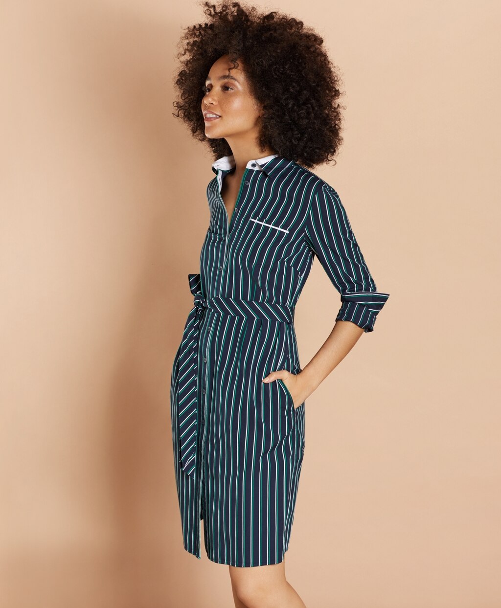 Brooks Brothers Women Striped Cotton Dobby Shirt Dress